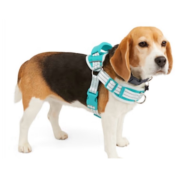 EVERYYAY Easy On Training Dog Harness in Blue -Tag not Attached - Picture 1 of 10